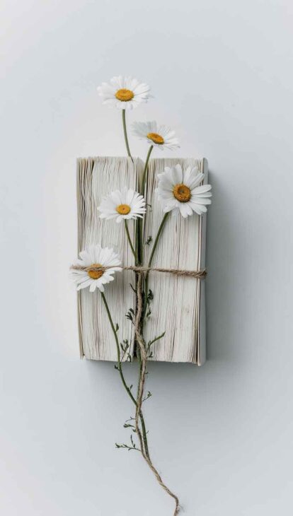 minimal aesthetic daisy phone background