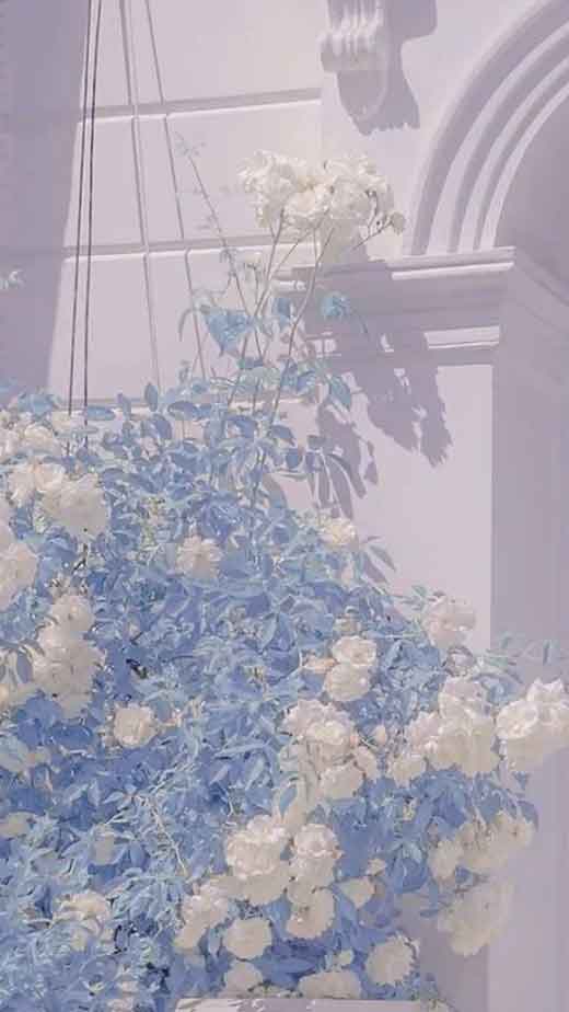 soft blue flowers wallpaper iphone