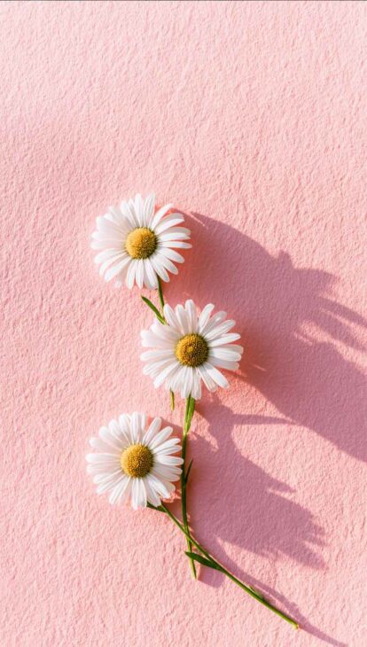 minimal ponk daisy phone background