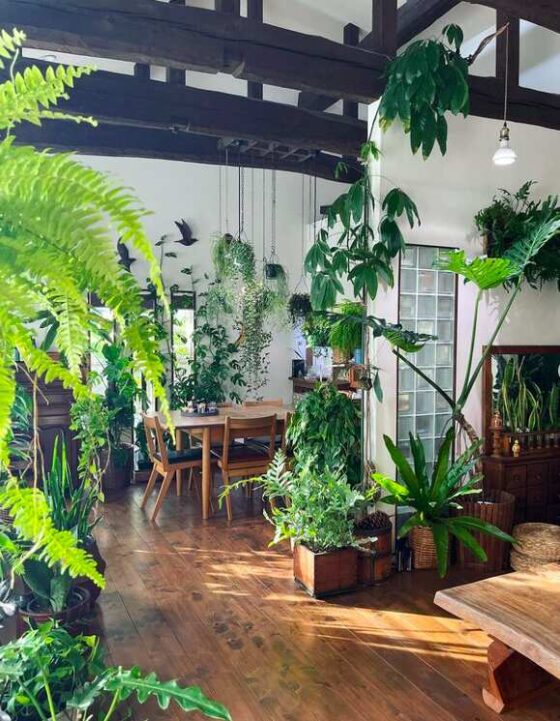 Plant Aesthetics: All The Greenery Inspiration You Need To Live In An ...