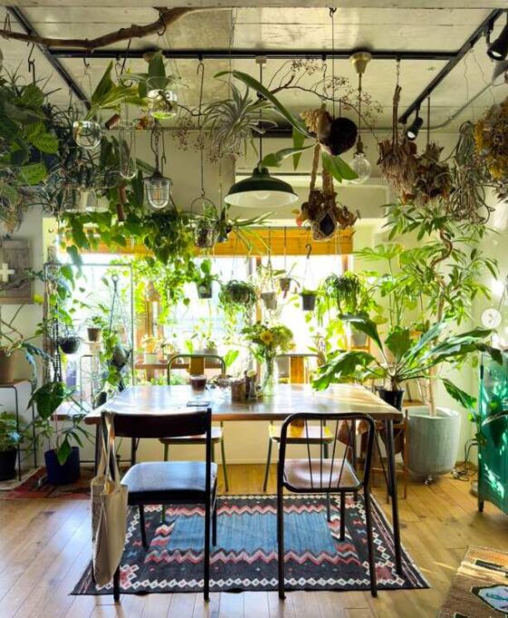 Plant Aesthetics: All The Greenery Inspiration You Need To Live In An ...