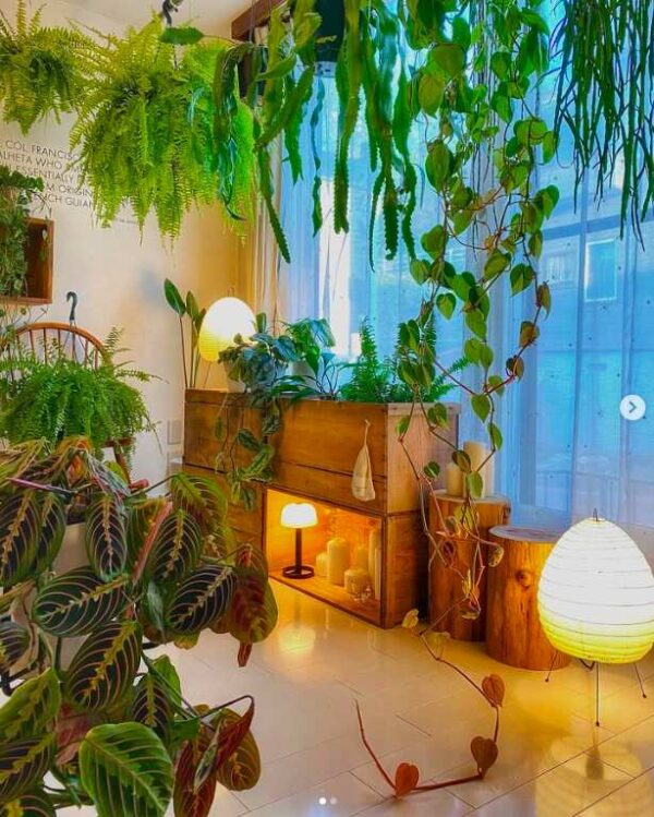 Plant Aesthetics: All The Greenery Inspiration You Need To Live In An ...