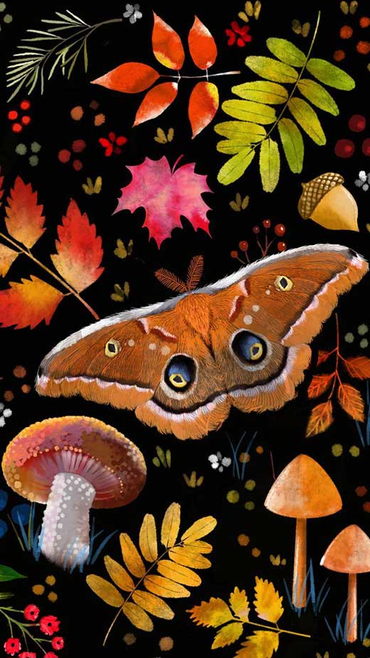 aesthetic fall wallpaper iphone cute background