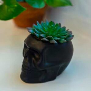 Black Matte Skull & Faux Succulent