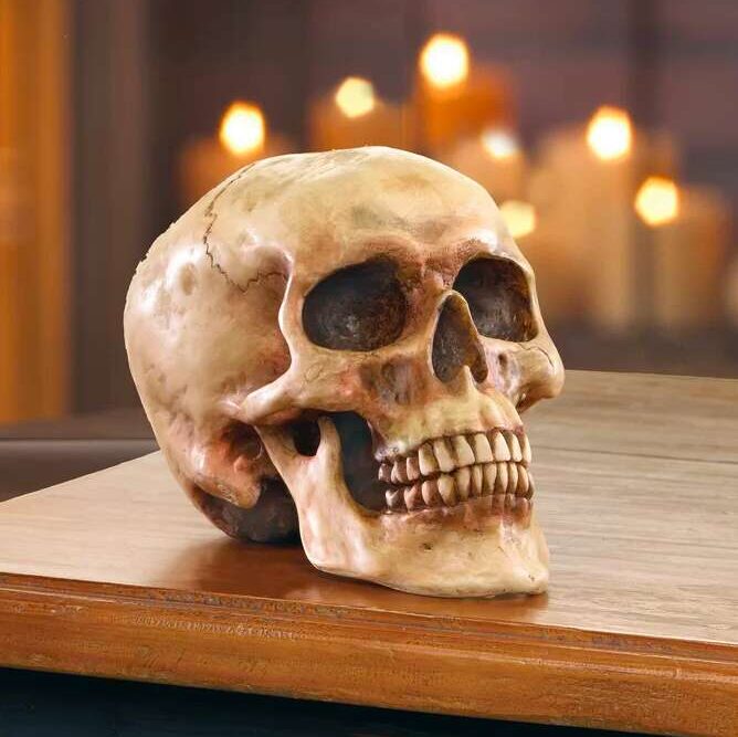 Bonehead Skull Decor 