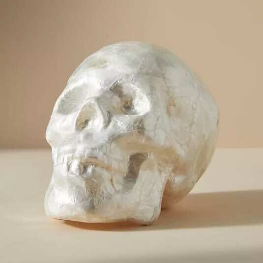 Pearl Capiz Shell Human Skull