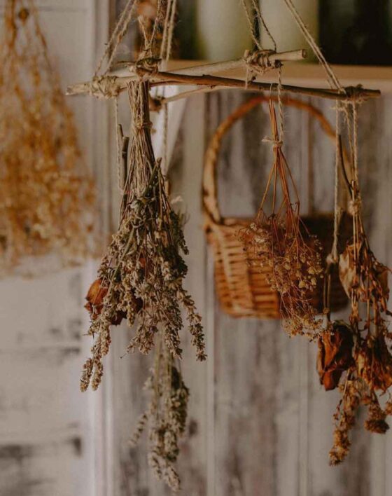 Aesthetic Witch Kitchen Decoration 560x708 