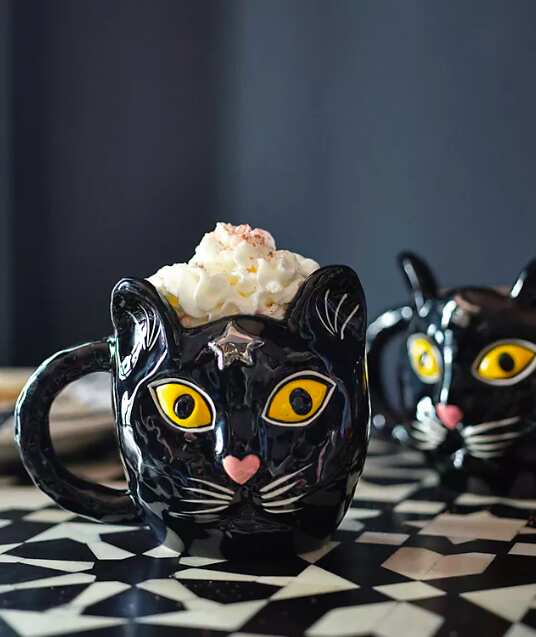 Black Cat Halloween Mug