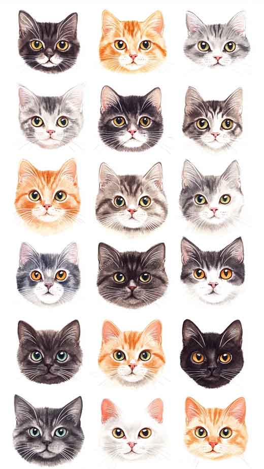 cat breeds wallpaper