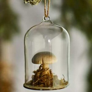 Forest Mushroom Cloche Ornament