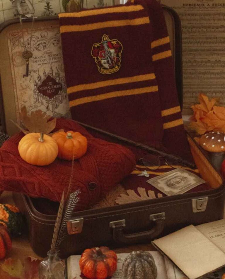 Gryffindor Aesthetic & Outfits to Help you Embrace your Heroic Self