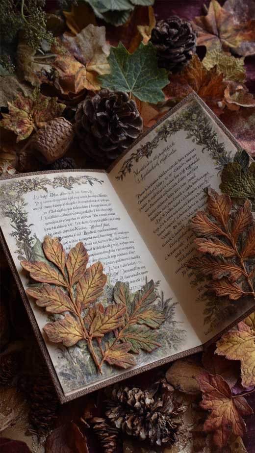 fall aesthetic book wallpaper for iphone