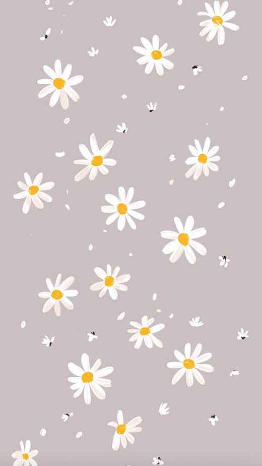 minimalist aaesthetic spring wallpaper