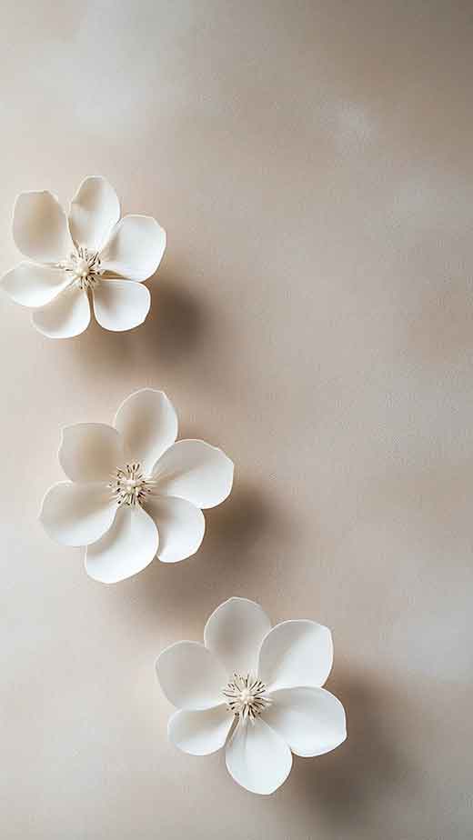 white minimal aesthetic spring flwer wallpaaper