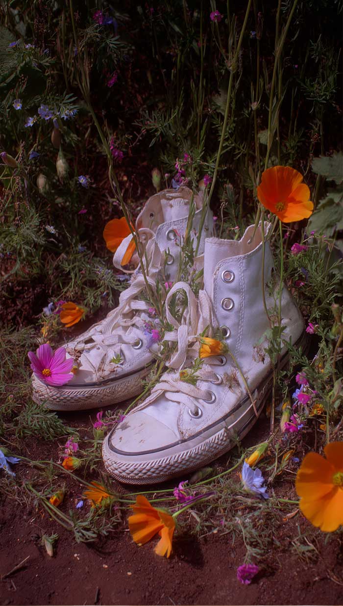 aesthetic spring cool floral wallpaper