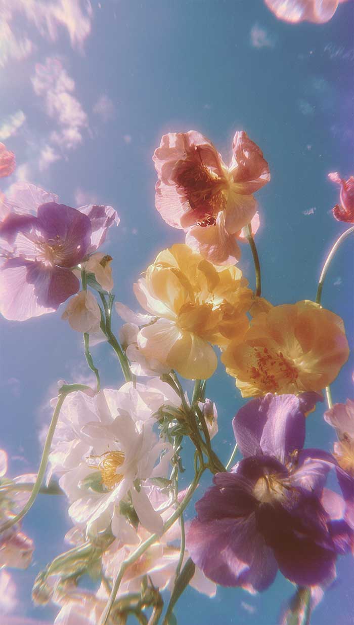 aesthetic spring flowers background