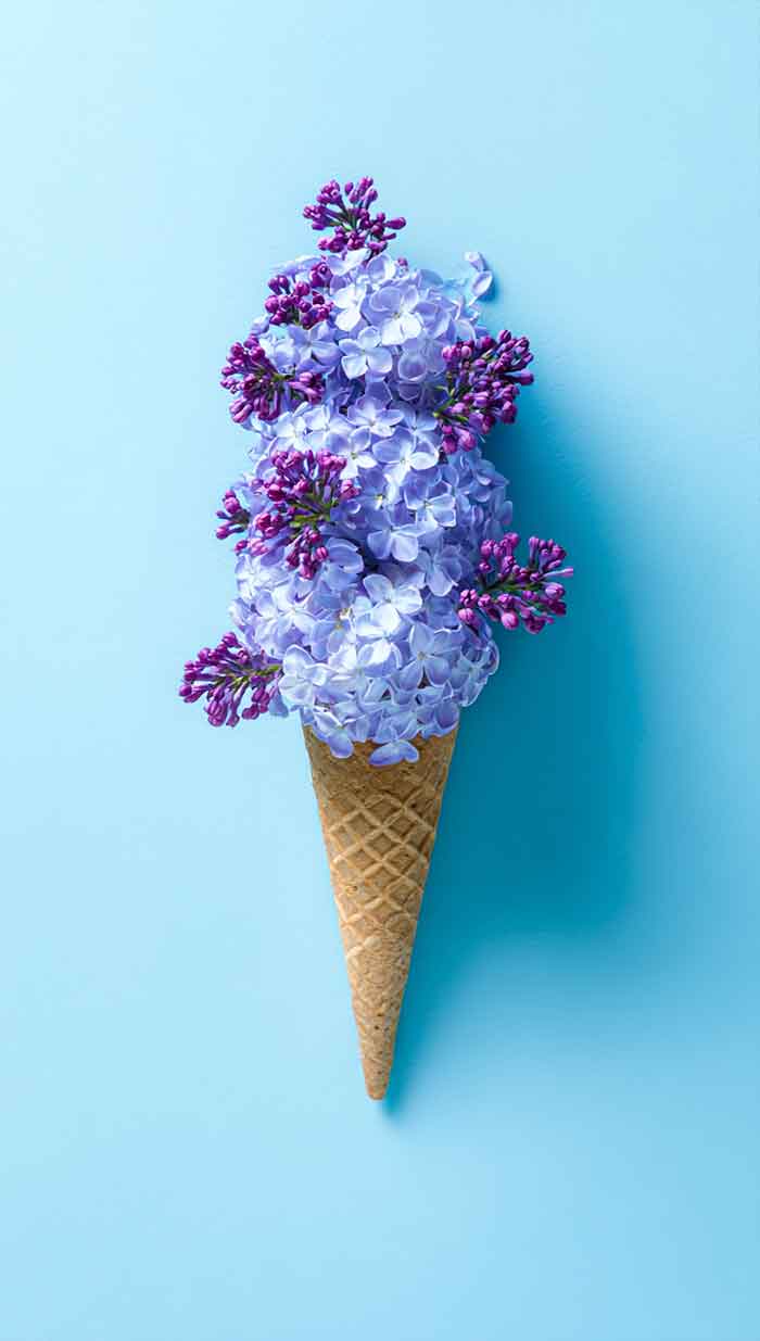 blue floral wallpaper