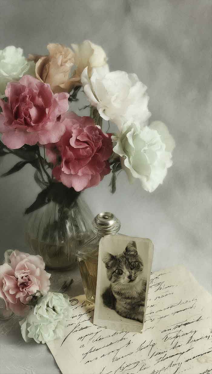 vintage aesthetic phone wallpaper  pink and white