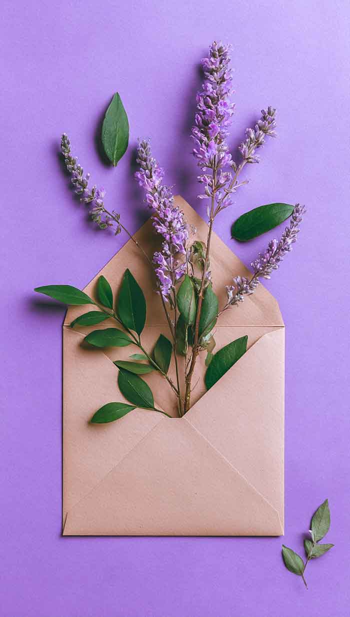 purple phone background spring