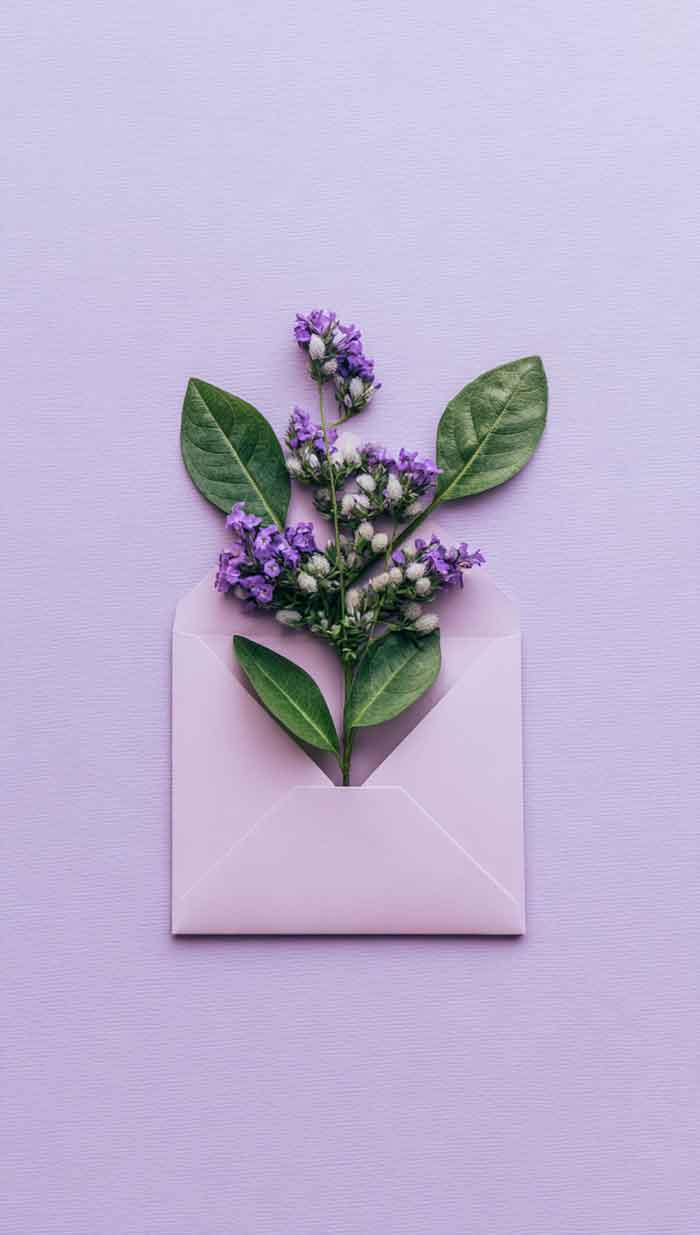 purple flower wallpaper iphone