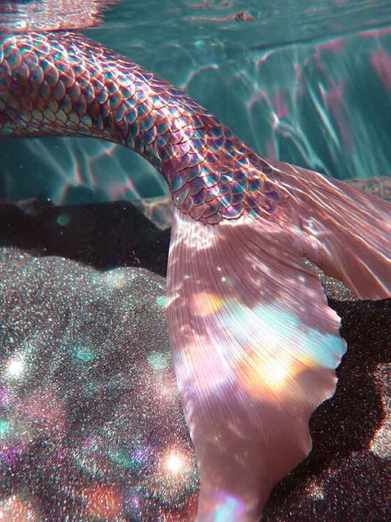 Stunning Mermaid Wallpapers for iPhone (Aesthetic, Little Mermaid and More)