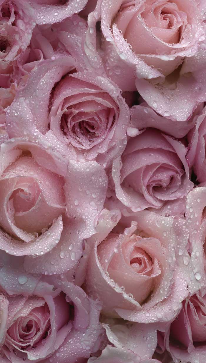 soft pink aesthetic wallpaper