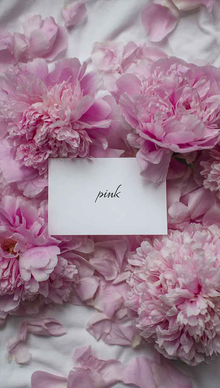 pink flower aesthetic wallpaper