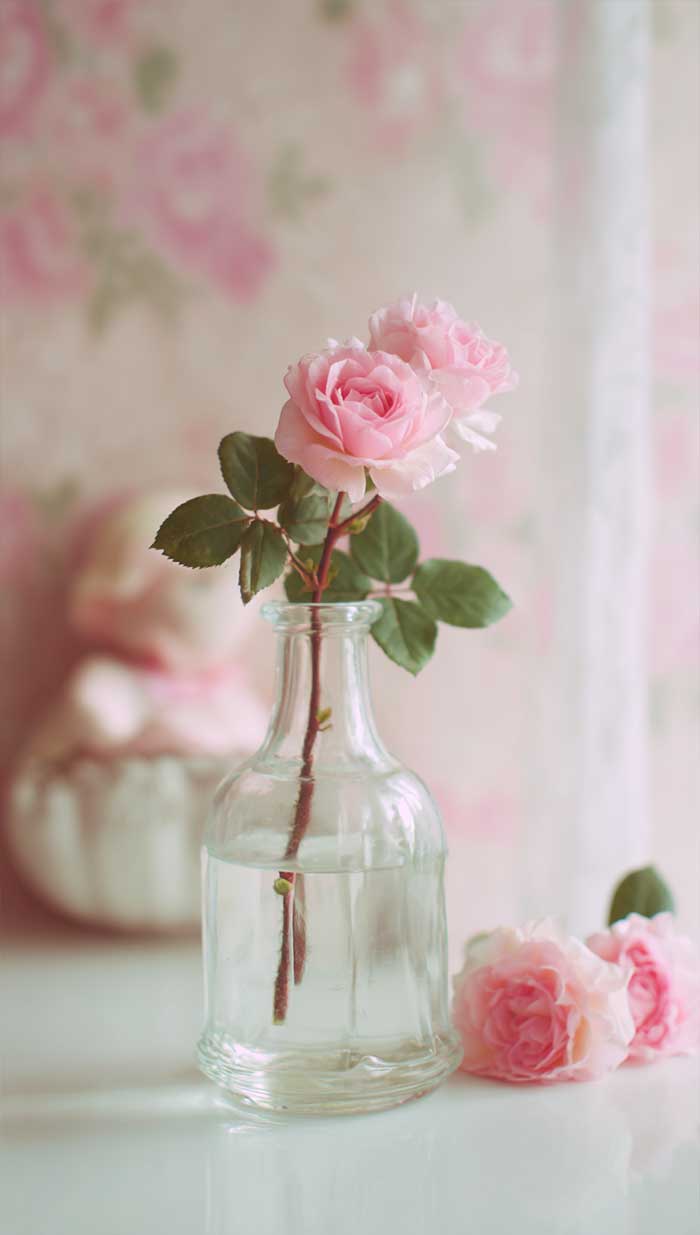 soft pink flower wallpaper