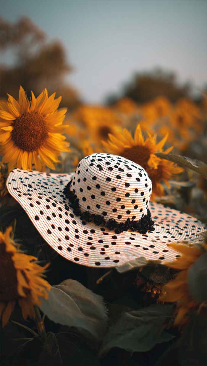 sunflower aesthetic wallpaper