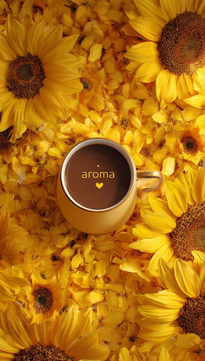 sunflower wallpaper iphone aesthetic