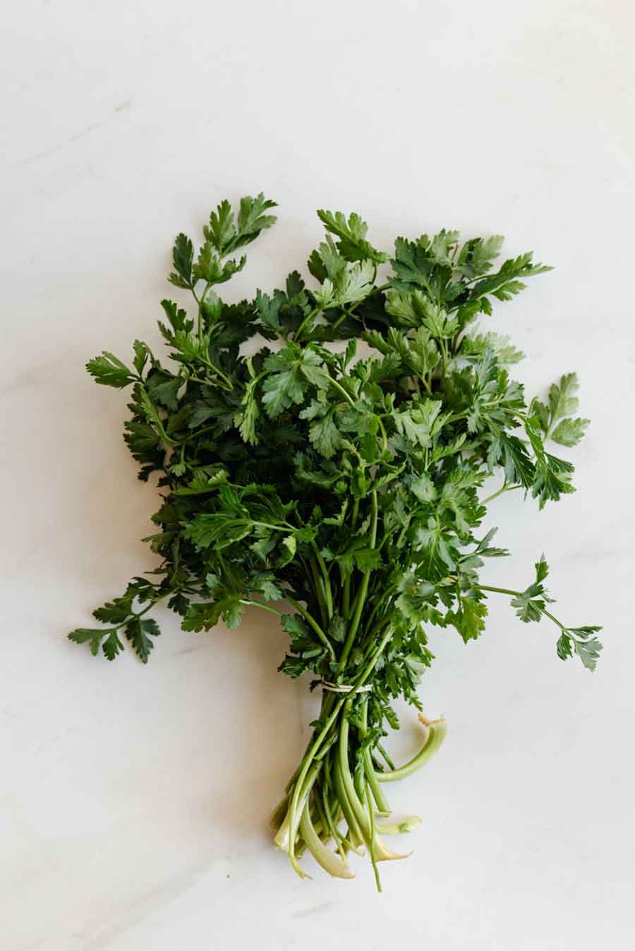 Green Aesthetic: The Symbolic Meaning of the Main Shades (and How to Connect With Your Moods ...
