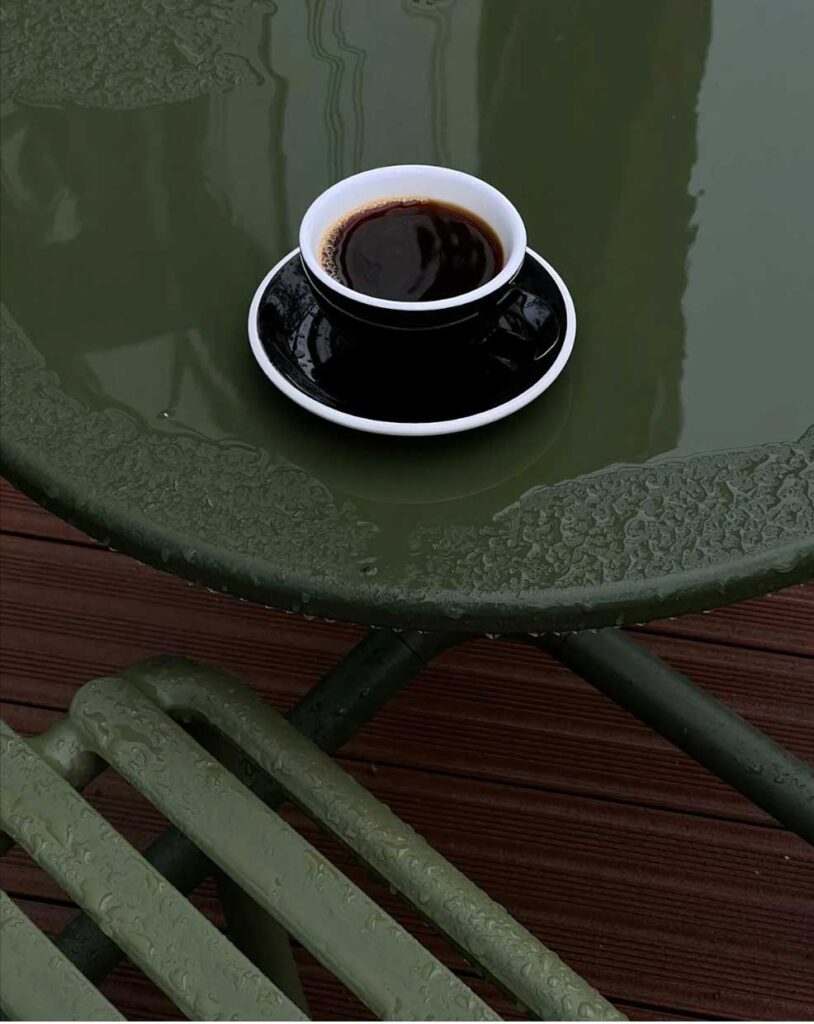 forest green aesthetic lifestyle, a coffee in rainy paris