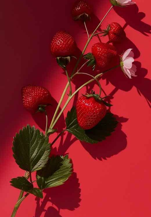 60+ Aesthetic Strawberry Wallpapers for iPhone & Desktop (Free and HD)