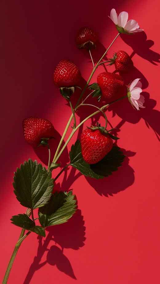 red aesthetic strawberry wallpaper