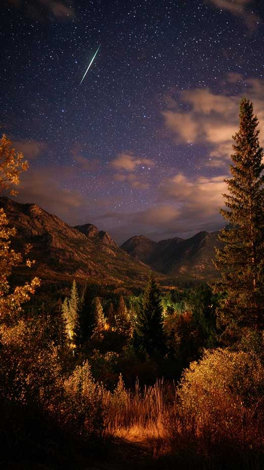 aesthetic fall night forest free wallpaper nature for iphone