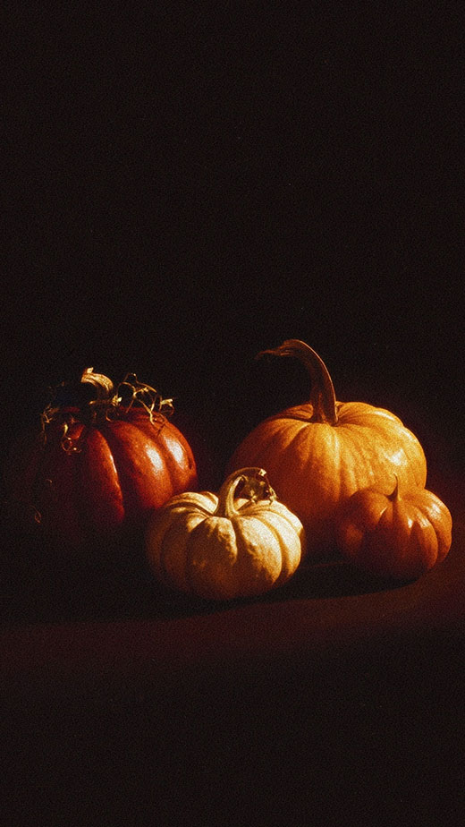 dark aesthetic moody autumn minimal wallpaper for phone