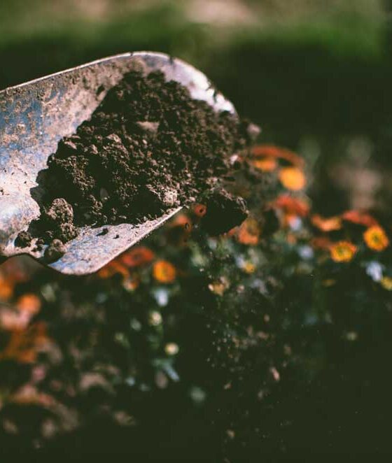 9 Simple Ways to Make Gardening Easier This Summer