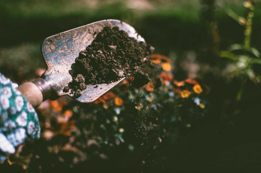 9 Simple Ways to Make Gardening Easier This Summer