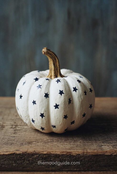 minimal simple stars pumpkin handpainted design