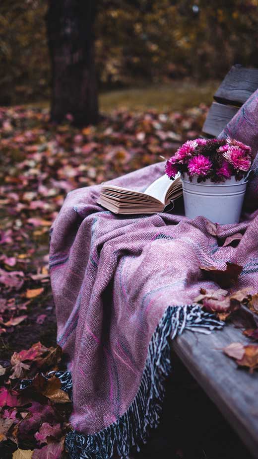 feminine aesthetic autumn background