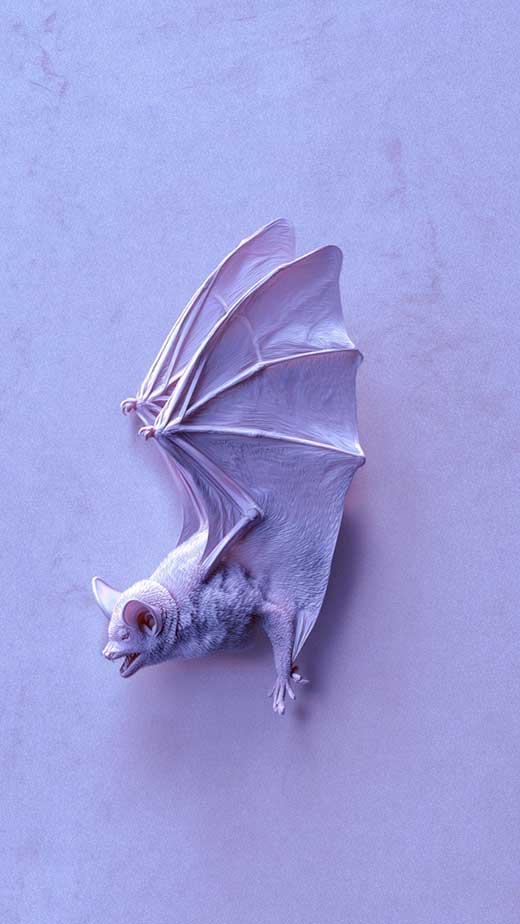 light purple pastel goth wallpaper
