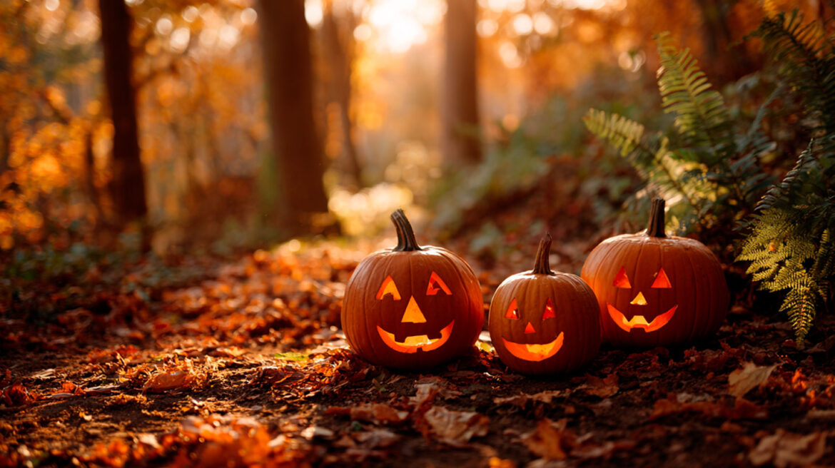 jack  lantern cute desktop wallpaper