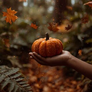 Simple Autumn Nail Art Ideas for 2025