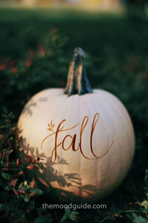 chic simple fall pumpkin painting