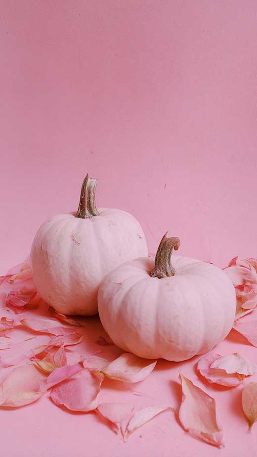soft pastel pink pumpkin fall wallpaper for iphone
