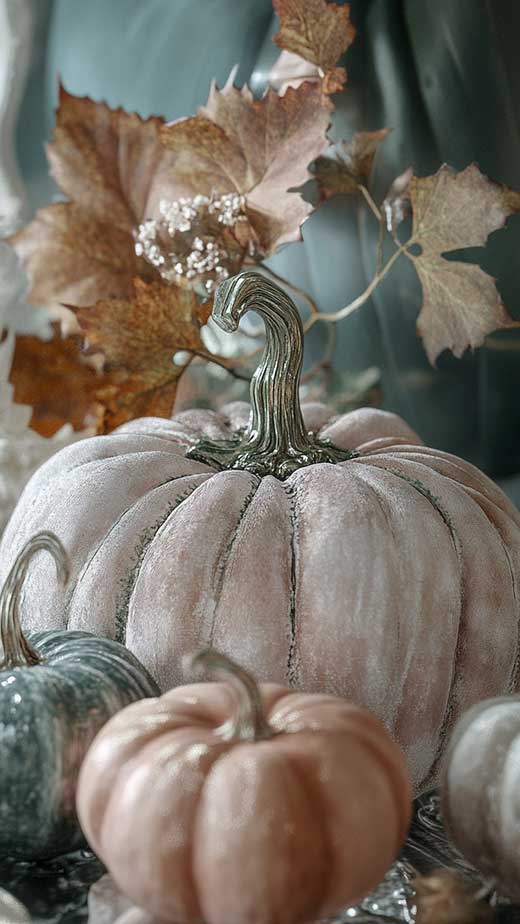 elegant cute velvet pumpkins