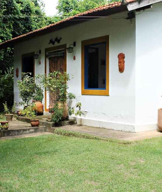 The Working Woman’s Secret to a Perfect Yard (Without Sacrificing Her Weekend)