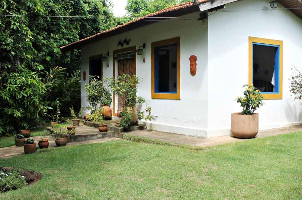 The Working Woman’s Secret to a Perfect Yard (Without Sacrificing Her Weekend)
