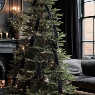 Cultivating a Lifestyle That Supports Both Career and Mood