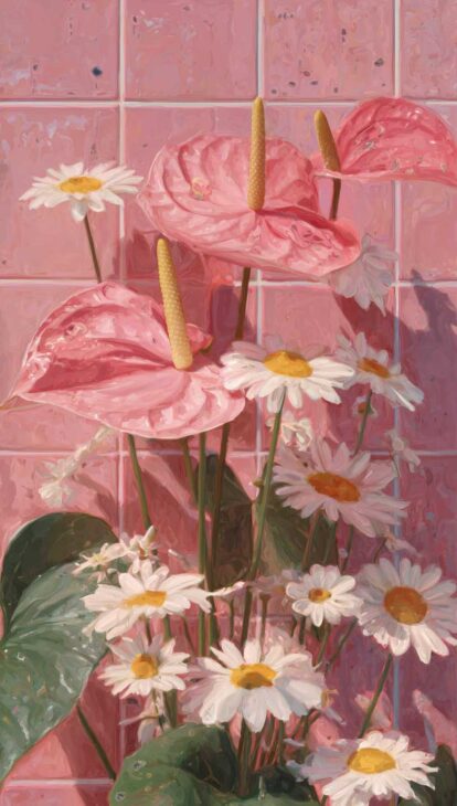 pink and white daisy phone wallpaper